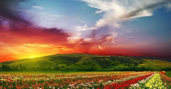 Following Islam Is The Direct Way To Paradise Murouj Academy